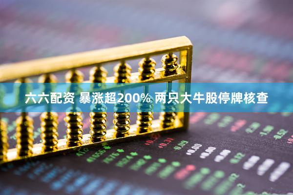 六六配资 暴涨超200% 两只大牛股停牌核查